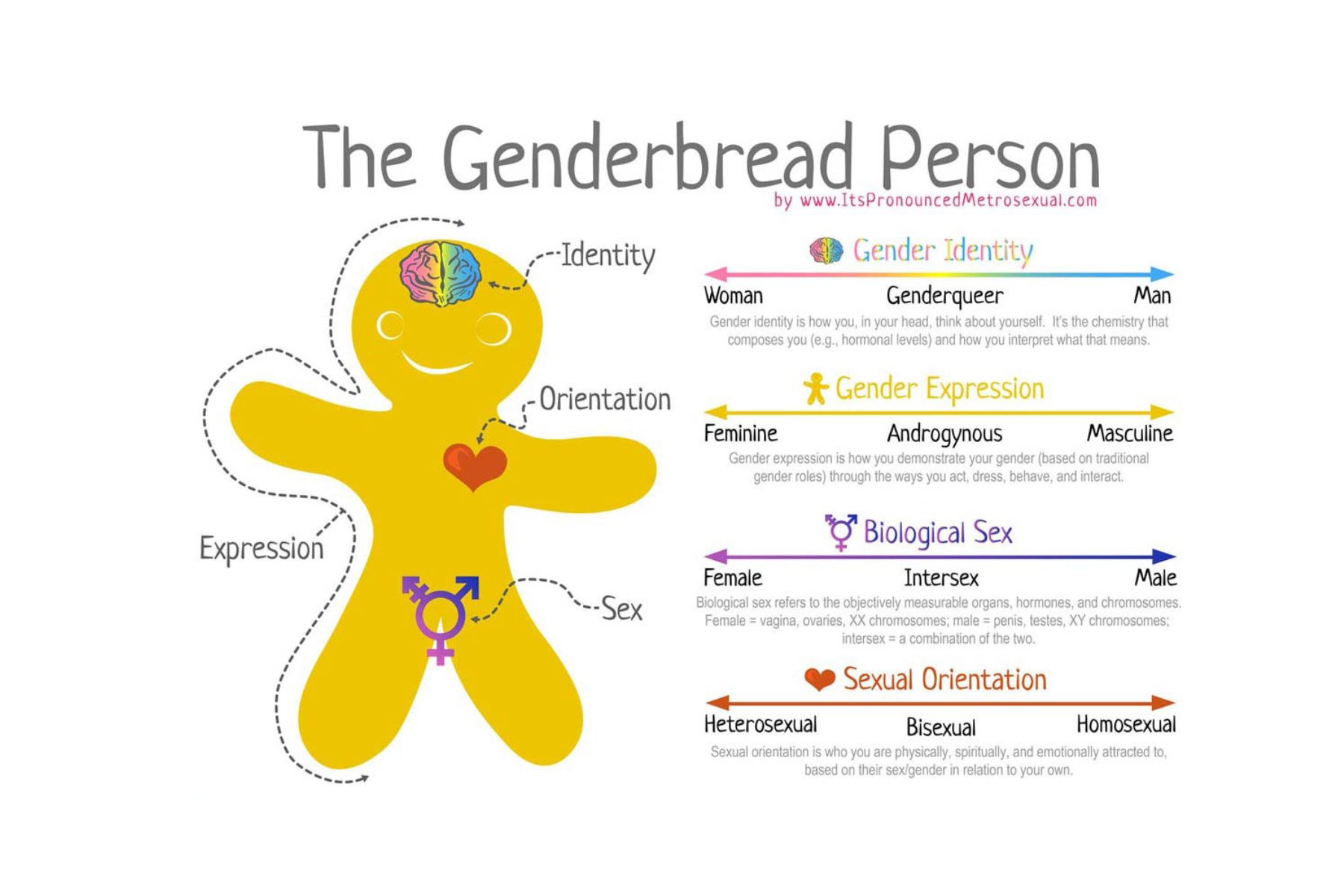 Learning from the Genderbread Person