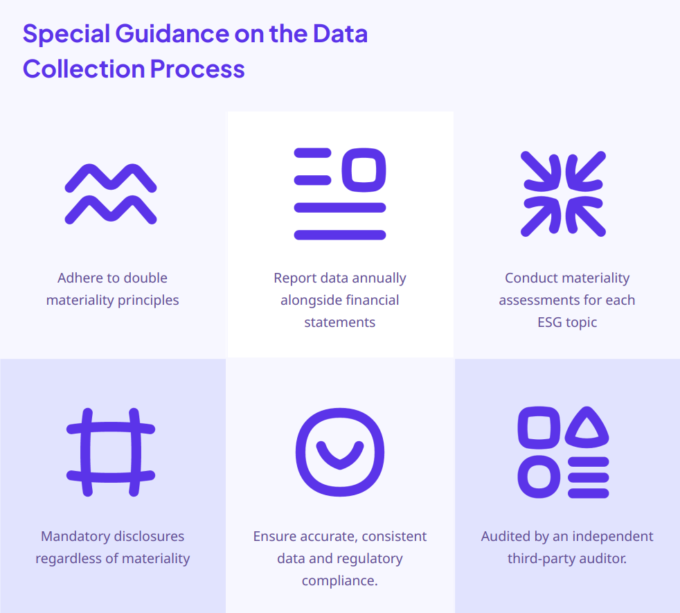 Six data collection principles: double materiality, annual reporting with financials, ESG materiality assessments, accurate data and compliance, mandatory disclosures, third-party audit.